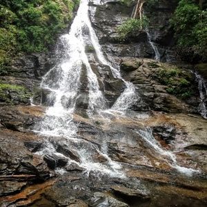 Meet your Posher, Geneva